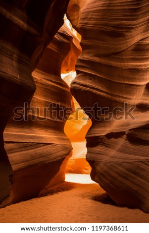 Deep in a slot canyon in Arizona, the walls of red Navajo Sandstone curve and weave with light from above