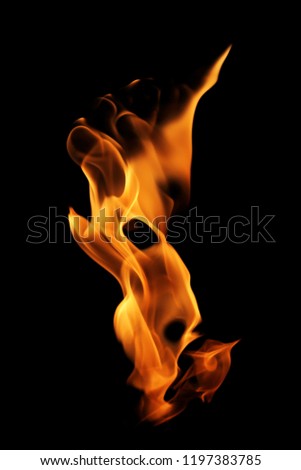 Fire flames isolated on black background.