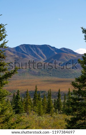 Landscape of Denali National Park & Preserve, Alaska