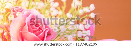 Pink rose background, Rose petals