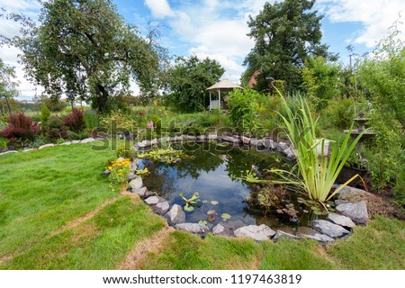 Beautiful designed garden fish pond with water-lily in a well cared backyard gardening background