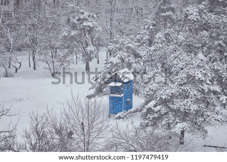 Winter, forest, snow. Snow-covered pine forest, trees in the snow, a beautiful winter landscape, nature