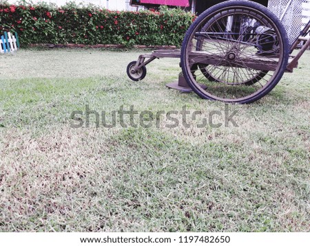 The gardener is cutting lawn mower