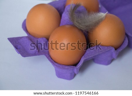 
chicken eggs closeup
