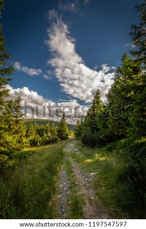 Narrow rocky path in the green forest from Serak to Velky Keprnik, Jeseniky, Czech Republic Royalty-Free Stock Photo #1197547597