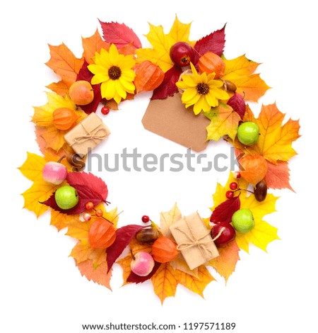 Wreath of autumn leaves with flowers, fruits isolated on white background. Top view.