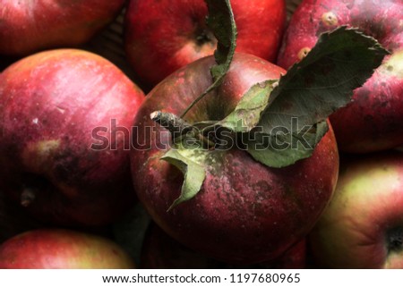 Organic apples on wooden background, from above