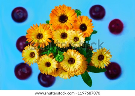 Autumn still life. A bouquet of yellow flowers of calendula and apples on a turquoise background. Top view