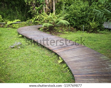 the wooden walk path in park with grass background