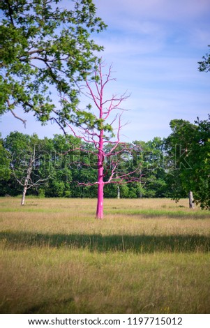 Concept of nature pollution. Landscape of meadow and forest with dead pink tree without leaves. Toxic environment 

