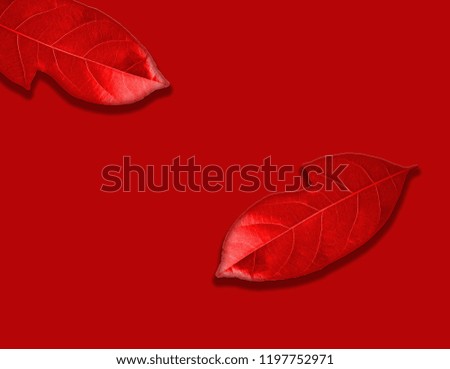 red leaf background theme