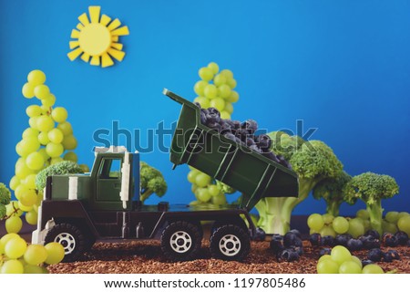 Kid's track loaded with fresh blueberries in garden from broccoli and grapes.  Harvest concept. Copy space. Toned