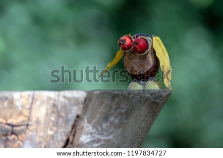 Chestnut animal on wooden stump, owl made of chestnut, acorn, yellow leaves and red hawthorn fruits, crazy funny bird on green background