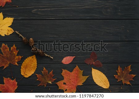 Background texture with old wooden table and yellow autumnal leaves. Autumn maple leaves on wooden background with copy space. Top view