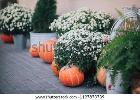 Autumn decoration with pumpkins and flowers at a flower shop on a street 