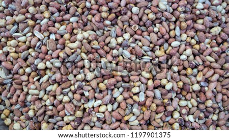Mixed Nuts Background. Mixed dry nuts. Various nuts.