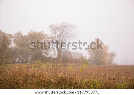 Autumn colors in village