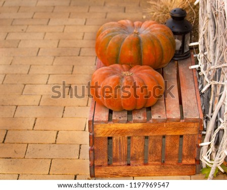 pumpkin on wood table
