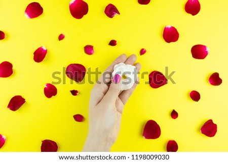 Beauty gentle hands with flowers and flower petals on yellow background, hands with beautiful bright makeup and rose petals, Valentine's day