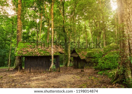 Old green hut 