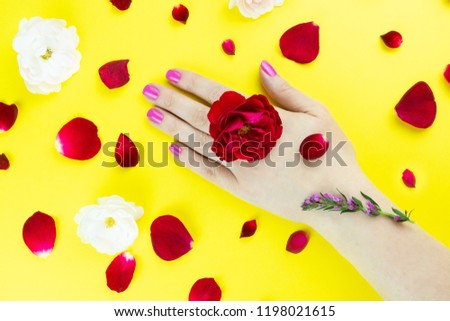 Beauty gentle hands with flowers and flower petals on yellow background, hands with beautiful bright makeup and rose petals, Valentine's day