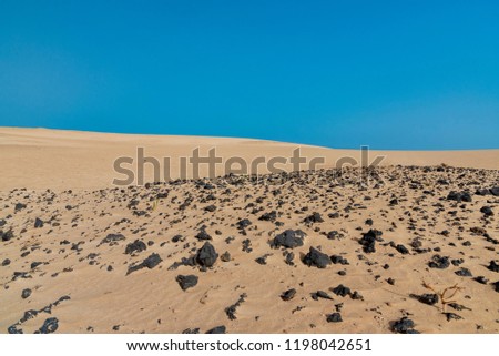 sand desert panorama of the island of Fuerteventura in Spain