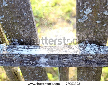 cobweb on a wooden fence