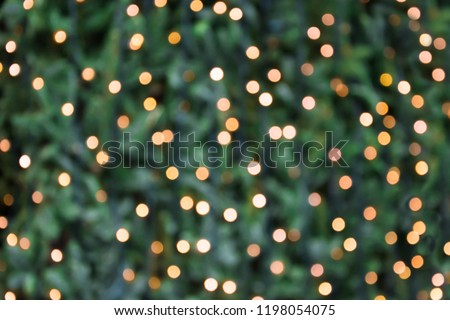Blurred golden garland on Christmas tree, defocused background. Christmas abstract.