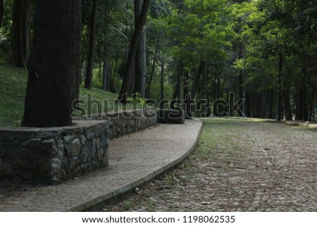 Woman  and man walking on a path - 