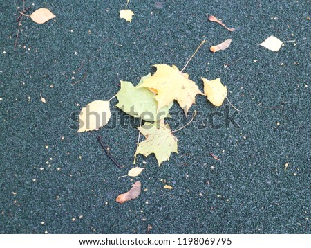 yellow leaves on green background