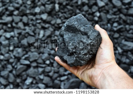 Hand of the miner shows coal in mine. Picture can be use to idea about coal mining, energy source or environment protection.