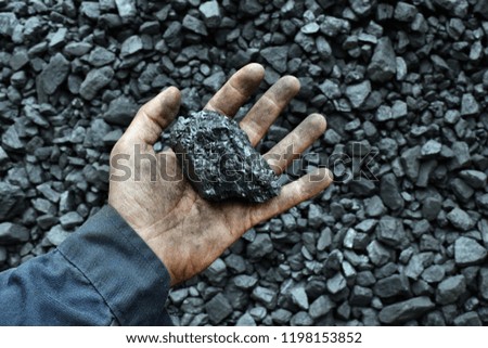 Coal in the hand of worker miner. Picture can be use to idea about coal mining, energy source or environment protection.