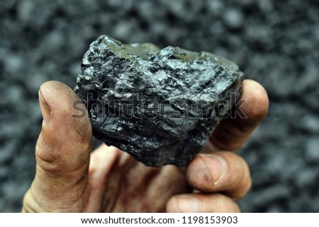 Coal in the hand of worker miner. Picture can be use to idea about coal mining, energy source or environment protection.