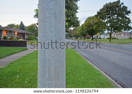Close up of telephone pole in a residential area, pole left blank purposely for copy space and custom design layout.