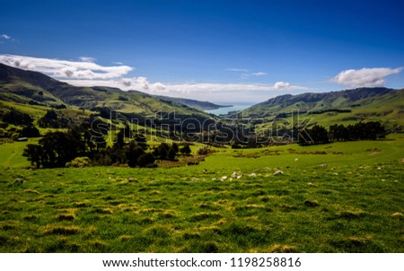 Back country of New Zealand. Wideangle panorama landscape photo with green highlands and beautiful bay with clear water. Summer trekking and enjoying wilderness of New Zealands countryside.