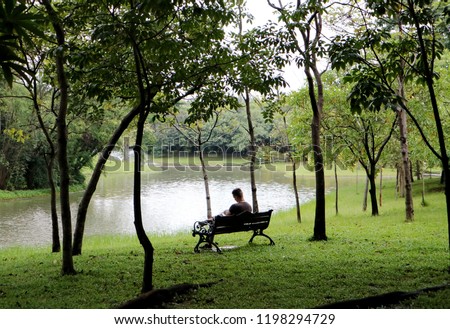 Scenery in the park