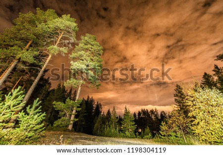 Long exposure night photo of autumn tall pine and short leaf trees, clouds with moon light behind, Scandinavia, Sweden, Västerbotten,  West Bothnia province