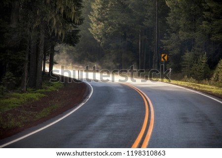 Scenic Winding Road. Beautiful Spring Landscape Road Trip. in Northern California, United States