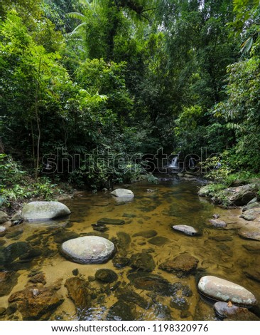  A beautiful Sungai Ruok waterfall in peace nature environment of 130 million years old Royal Belum Rainforest Park at Temengor Lake.