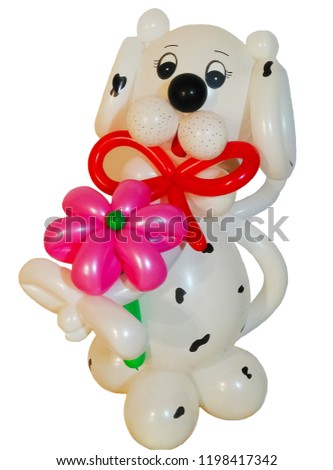 dog of balloons with a flower