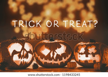 Caption trick or treat on the photo of three spooky jack-o'-lanterns made for halloween