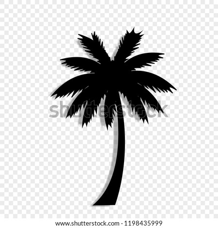 Vector black silhouette illustration of palm tree icon isolated on transparent background.