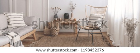 Panorama of armchair and grey sofa in natural living room interior with flowers. Real photo Royalty-Free Stock Photo #1198452376