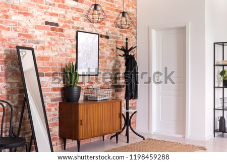 Plant on wooden cabinet between mirror and rack in modern anteroom interior with poster. Real photo Royalty-Free Stock Photo #1198459288