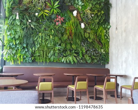 Empty wood table with artificial plant decoration on the wall of ecology design interior. Fake tree from plastic plants ornament design on the wall of coffee shop. Select focus Royalty-Free Stock Photo #1198478635