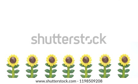 Line of Sunflowers Model on White Background