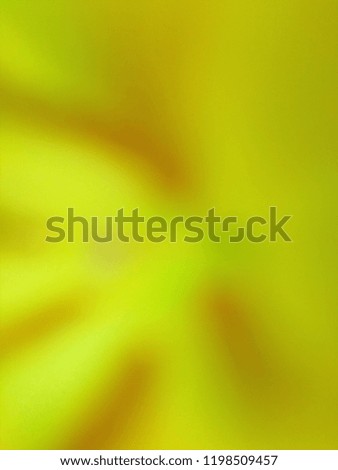 Abstract out of focus yellow lights coming from the mother nature with abstract background of Yellow flower. Abstract background of Yellow, Red, Green and White color. Good for Greetings Card,Calendar