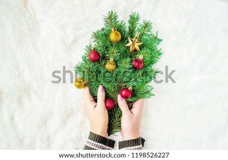 christmas background. spruce in hand. decor Selective focus. nature