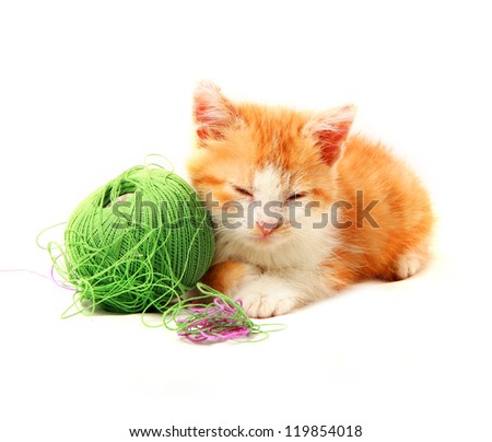 sleeping red cat tangle of yarn