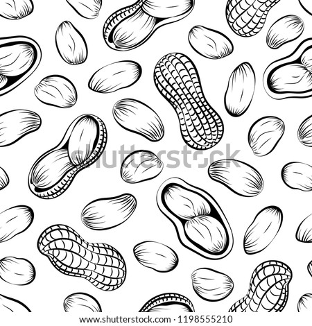 Seamless pattern peanuts drawn by hand. Vector illustration of peanut in nutshell and without it. Peanut, groundnut on a white background. Closeup tile texture for wrapping and packaging food design. Royalty-Free Stock Photo #1198555210
